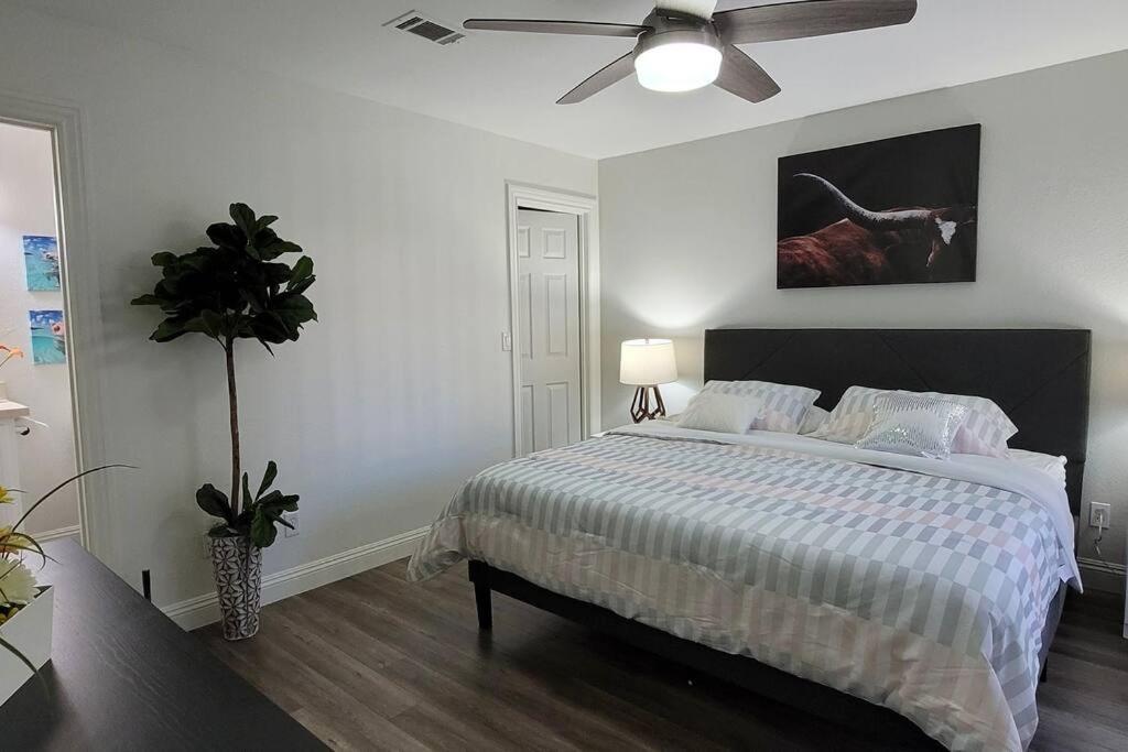 L - Fully Remodeled And Professionally Decorated Las Vegas Dış mekan fotoğraf
